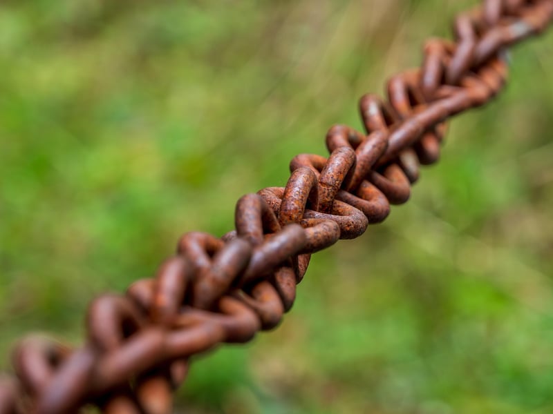 Sustainable Supply Chain Management